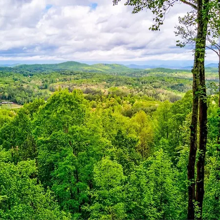 Black Bear View